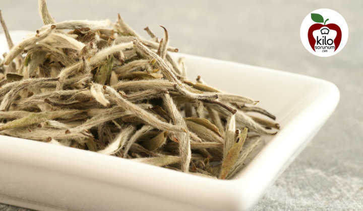 Jun Shan Yinzhen (Sarı İğne) Çayı